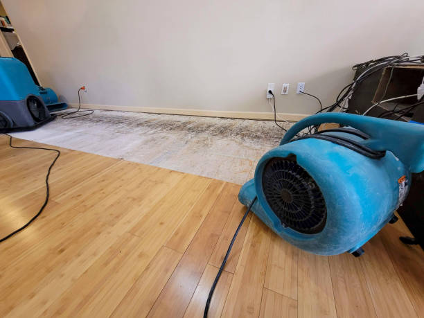 Professional Flood Damage Cleanup technician working in Calera, OK